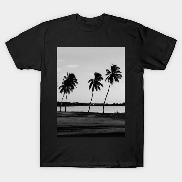 Black White Coconut Trees T-Shirt by polandrich